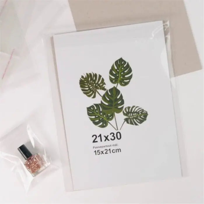 Cellofanposer, B2, 51 x 70,5 cm