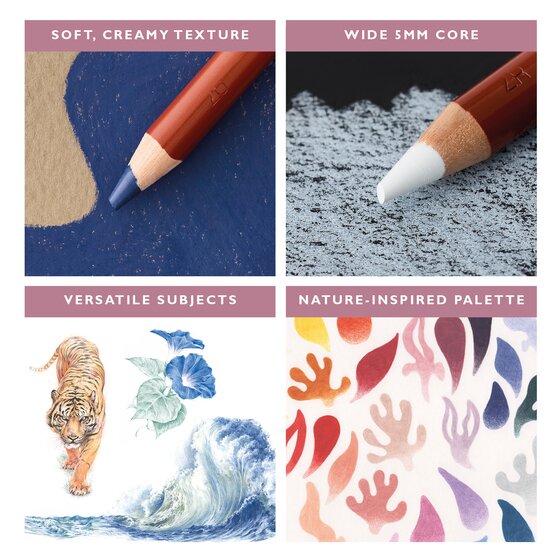 Derwent, farveblyanter, 24 stk