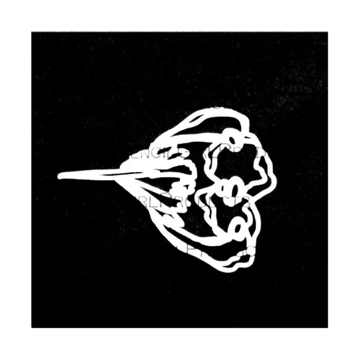 Stencil Girl, Stencil, 10 x 10, Wise Bud Stencil and Mask